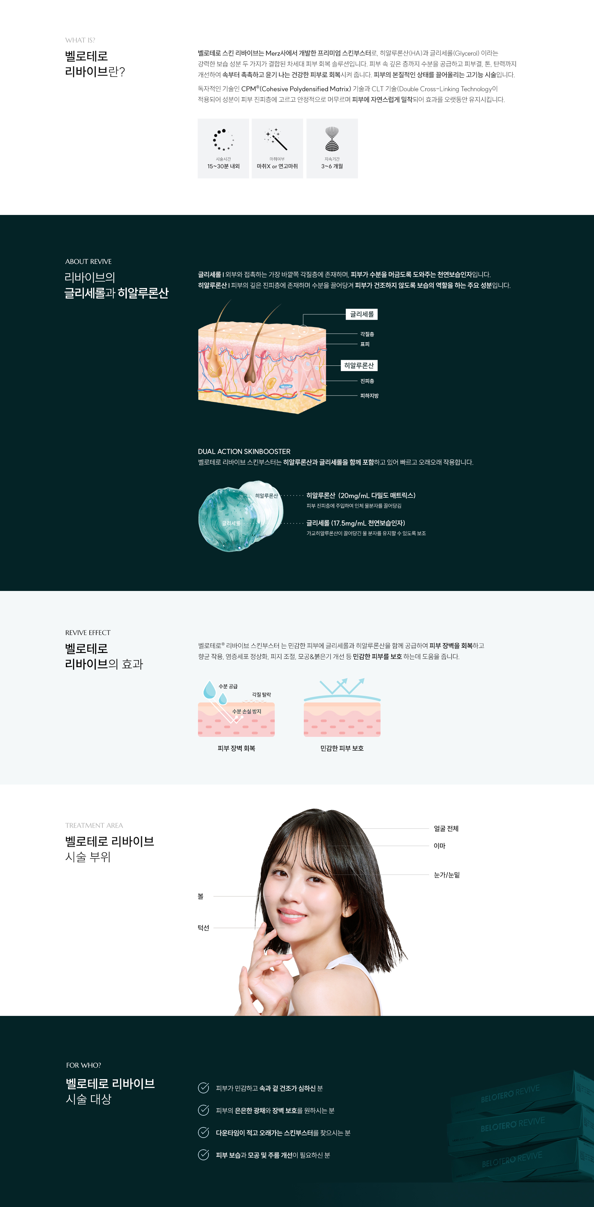 내용